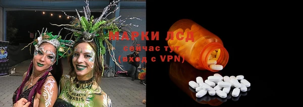 мяу мяу мука Алзамай