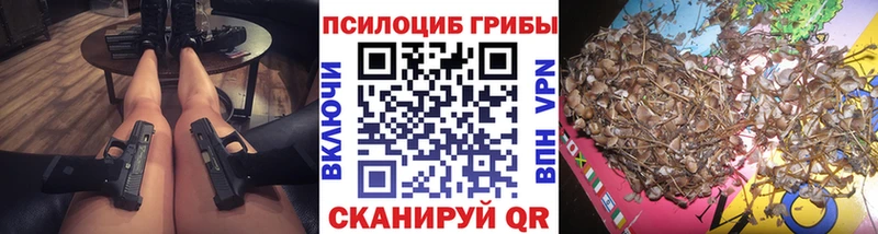 Галлюциногенные грибы Cubensis  наркотики  Тырныауз 